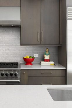 Contemporary Kitchen Brown Cabnets White Quartz Countertop