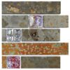 BA1046 sample 1