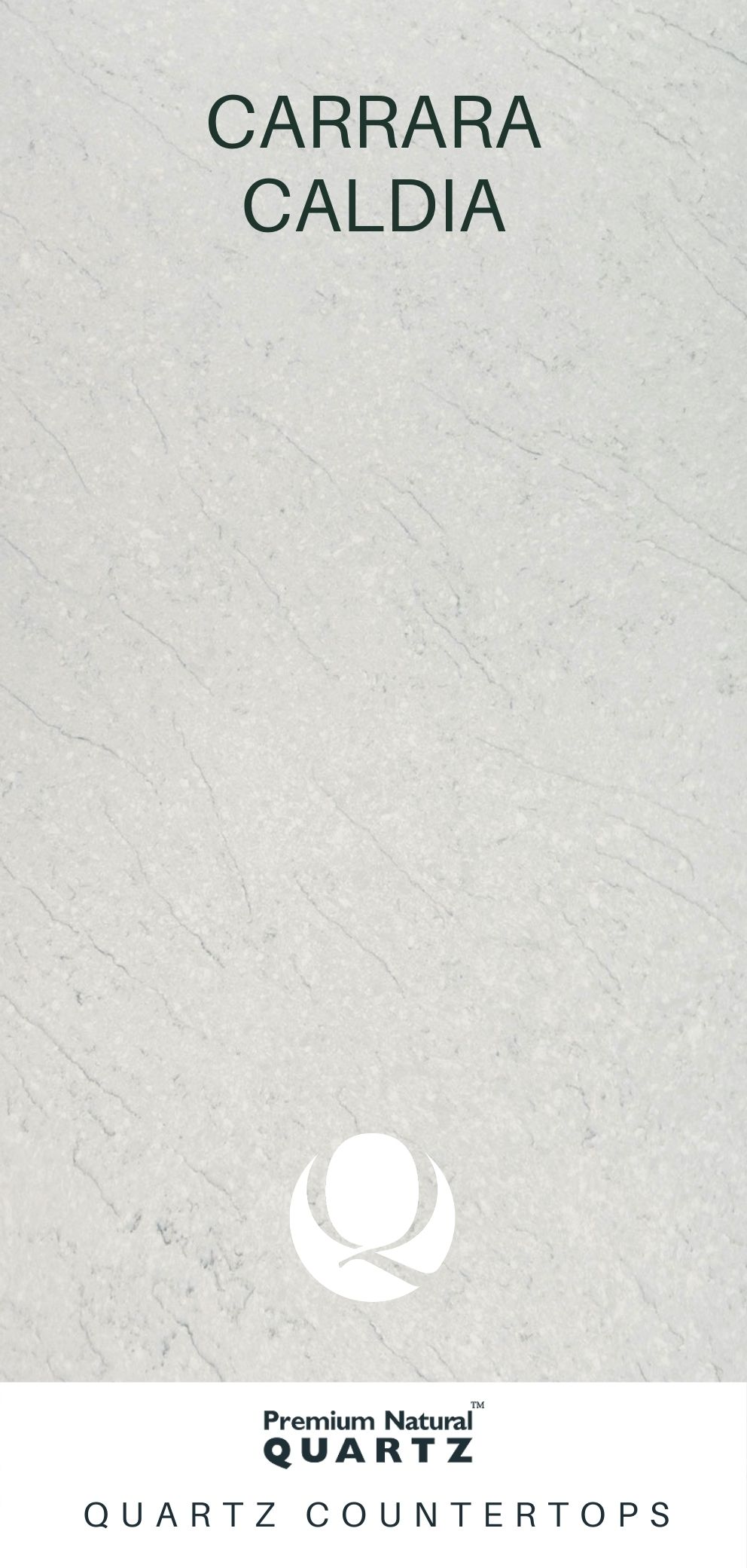Premium Natural Quartz Carrara Caldia