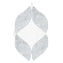 BA6317 sample