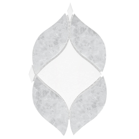 BA6317 sample
