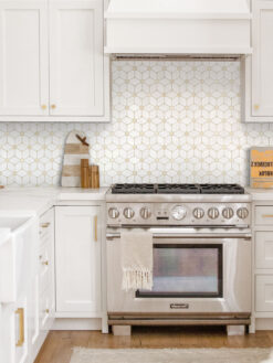 White Kitchen Cabinets with Flower Marble Backsplash Tile BA6310
