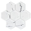 BA5509 large sample