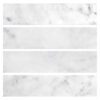 BA1077 large sample